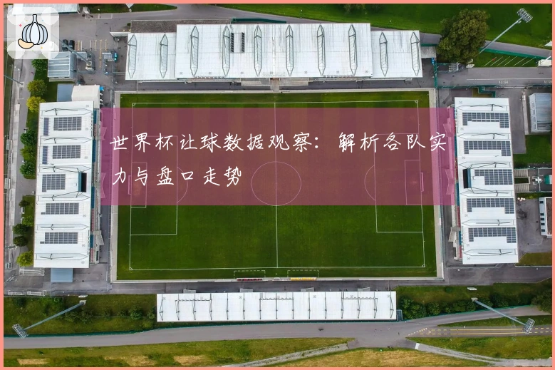 世界杯让球数据观察：解析各队实力与盘口走势