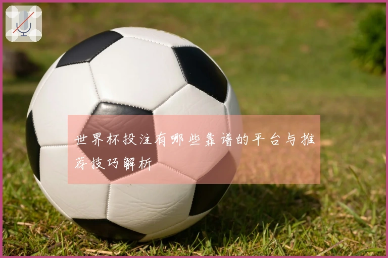 世界杯投注有哪些靠谱的平台与推荐技巧解析