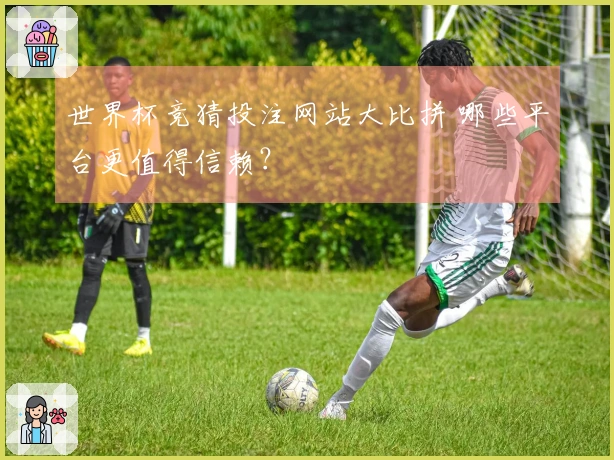 世界杯竞猜投注网站大比拼 哪些平台更值得信赖？
