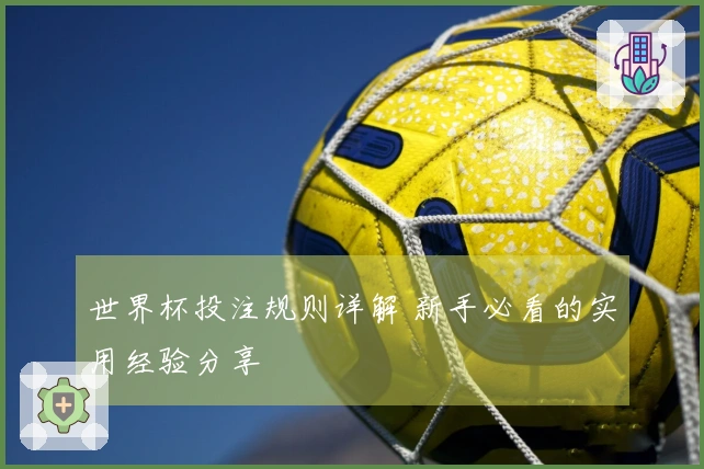 世界杯投注规则详解 新手必看的实用经验分享