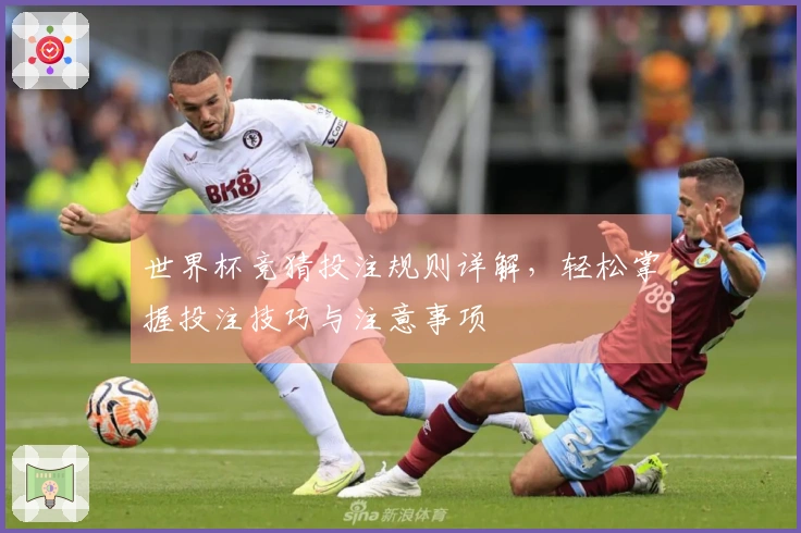 世界杯竞猜投注规则详解，轻松掌握投注技巧与注意事项