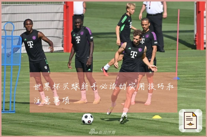 世界杯买球新手必读的实用技巧和注意事项