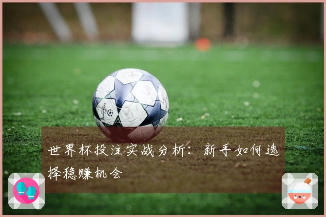 世界杯投注实战分析：新手如何选择稳赚机会