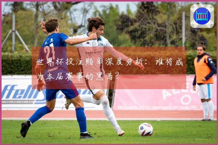 世界杯投注赔率深度分析：谁将成为本届赛事的黑马？