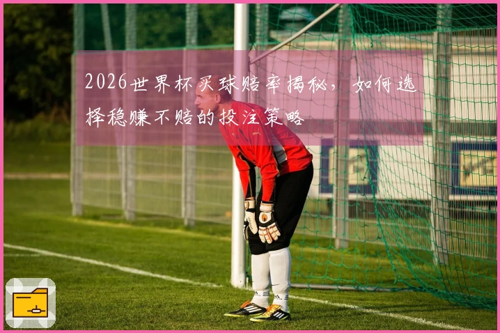2026世界杯买球赔率揭秘，如何选择稳赚不赔的投注策略