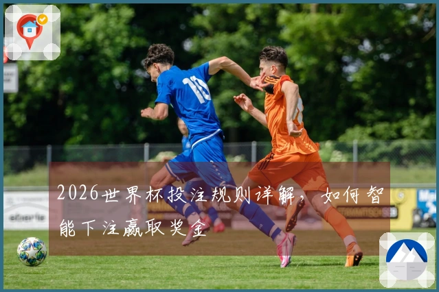 2026世界杯投注规则详解，如何智能下注赢取奖金