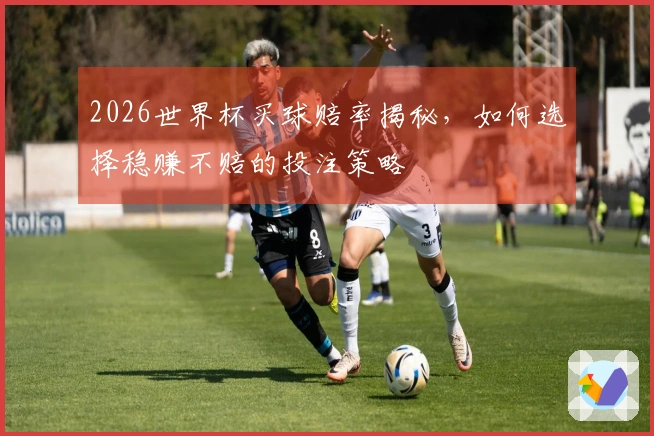2026世界杯买球赔率揭秘，如何选择稳赚不赔的投注策略